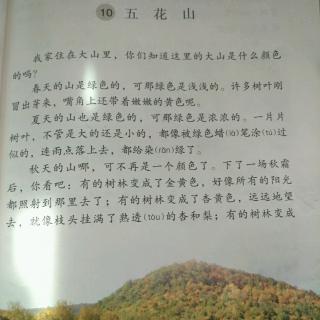 课文朗读《10.五花山》