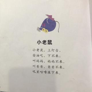 小老鼠