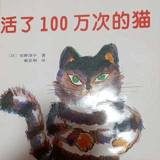 活了100万次的猫