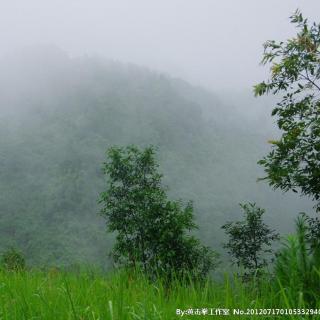 山雨