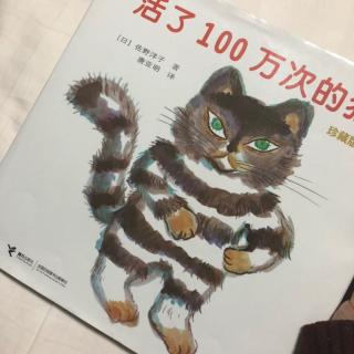 活了100万次的猫