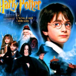 Harry Potter 1 P310~312
