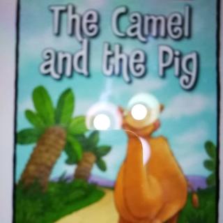 The Camel and The Pig