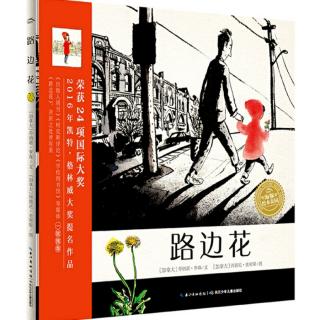 《路边花》经典必读7