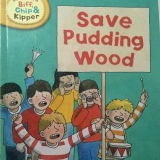 Save pudding Wood