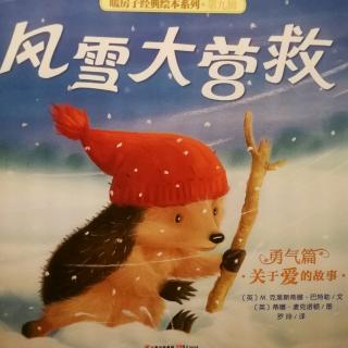 ❄️风雪大营救🐭