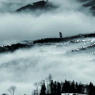 山雨与稻米的国度