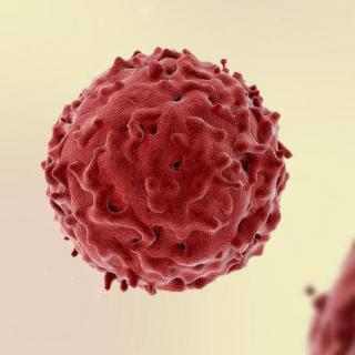 感染HPV，就是得了宫颈癌？