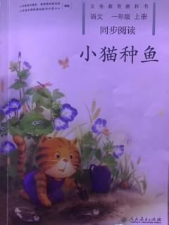 《小猫种鱼》🐟3、找朋友