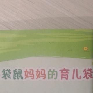 袋鼠妈妈的育儿袋