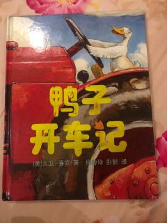 206.夏天宝宝讲故事2→《鸭子开车记》