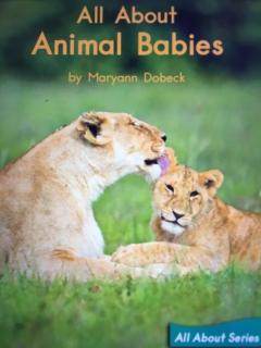 《All About Animal Babies》