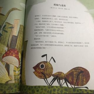 蚂蚁与麦粒