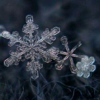 雪花的快乐 徐志摩