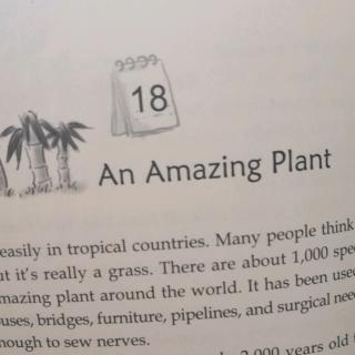 18-An Amazing Plant