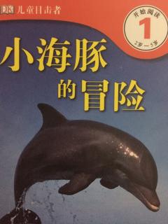 小海豚的冒险