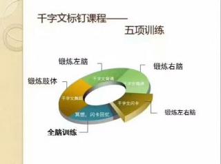 国学经典《千字文》154天