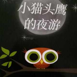 温馨陪伴——《小猫头鹰的夜游》