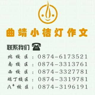 学步（上）——发生什么了