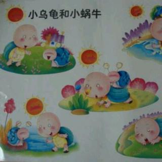 【故事256】虎渡名门幼儿园晚安绘本故事《蜗牛与乌龟》