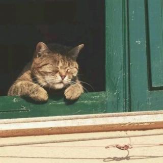 卡勒德·胡赛尼《追风筝的人》