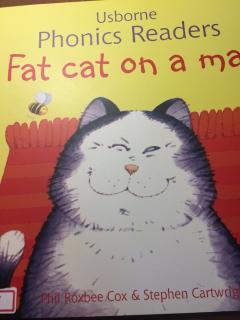 【幸运先生的故事屋】181.Fat cat on a mat