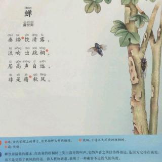 《蝉》—虞世南