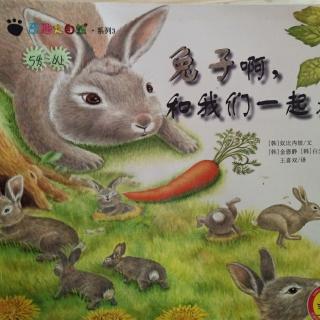 奇趣大自然《兔子啊，和我们一起走》韩国绘本