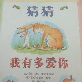 猜猜我有多爱你