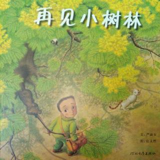 陈毅轩讲绘本故事《再见小树林》