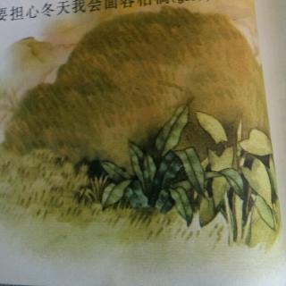 17、小草之歌