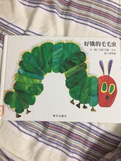 好饿的毛毛虫🐛