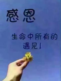 情为何物？