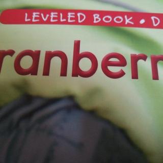 D44  Cranberries