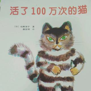 【蓝天姐姐讲故事】活了100万次的猫