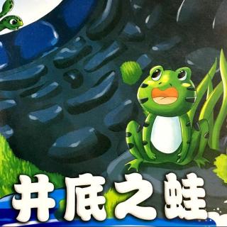 宸宝故事会—听丽丽老师讲故事第十五期：井底之蛙