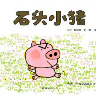 石头小猪🐷