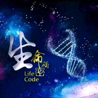 《生命数字密码》第六章 细说数字流年