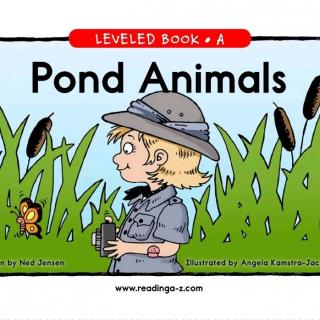 Raz a Pond Animals