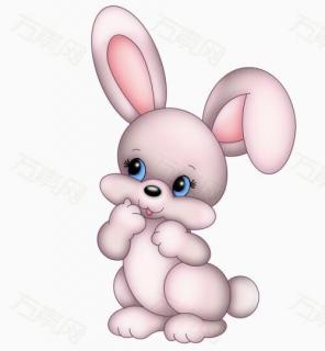 勇敢的小兔子——鑫鑫姐姐