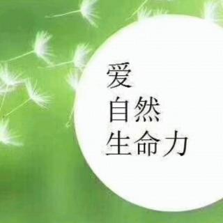 亲子故事《月亮🌙有几个》