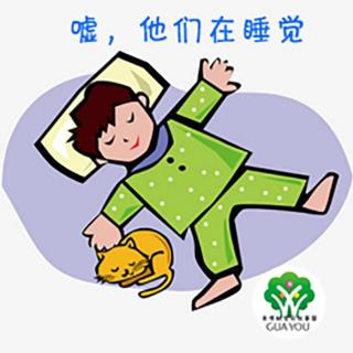 露露老师讲故事：《嘘，他们在睡觉》