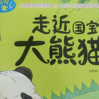 走进大熊猫