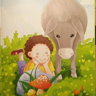 贝蕾幼儿园晚间故事分享《伤心的驴子》