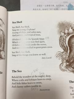 12| The random house books of poetry for children：Sea shell；The Sea