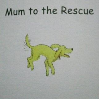 英语故事《Mum to the Rescue》