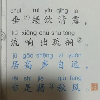 蝉  唐  虞世南