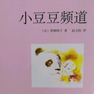 小豆豆频道，23若干名