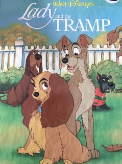 Lady and the Tramp