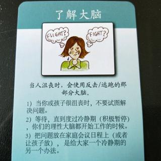 正面管教工具:掌中大脑